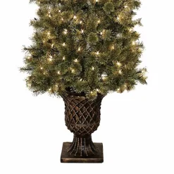 Christmas Trees><noscript><img width=