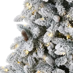 Christmas Trees><noscript><img width=