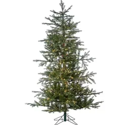 Christmas Trees><noscript><img width=