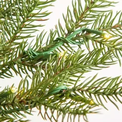 Christmas Trees><noscript><img width=