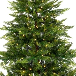 Christmas Trees><noscript><img width=