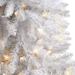 Christmas Trees><noscript><img width=