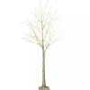 Christmas Trees>Kirklands Home 6 ft. Pre-Lit White Birch Christmas Tree