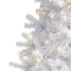 Christmas Trees><noscript><img width=