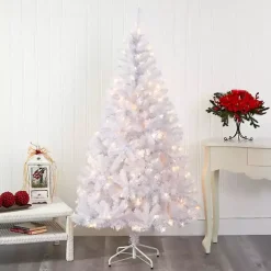 Christmas Trees><noscript><img width=