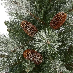 Christmas Trees><noscript><img width=
