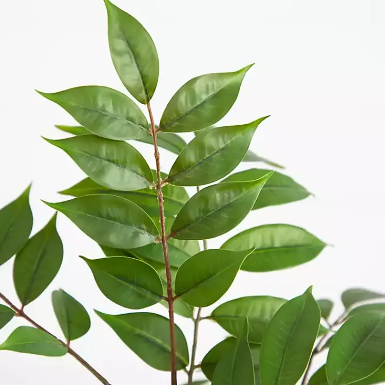Trees & Topiaries>Kirklands Home 3.5 ft. Sumac Tree in Nursery Planter