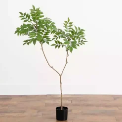 Trees & Topiaries><noscript><img width=