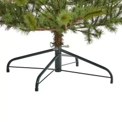 Christmas Trees><noscript><img width=