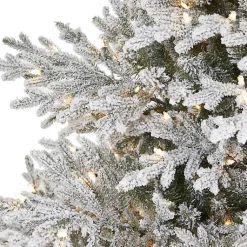 Christmas Trees><noscript><img width=