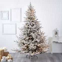 Christmas Trees><noscript><img width=