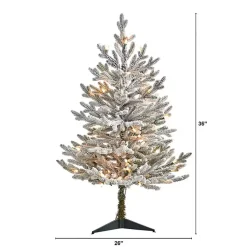 Christmas Trees>Kirklands Home 3 ft. White Lit Flocked Fraser Fir Christmas Tree