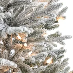 Christmas Trees><noscript><img width=