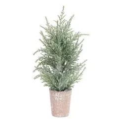 Christmas Arrangements & Garland>Kirklands Home 15 in. Potted Icy Pine Trees, Set of 4