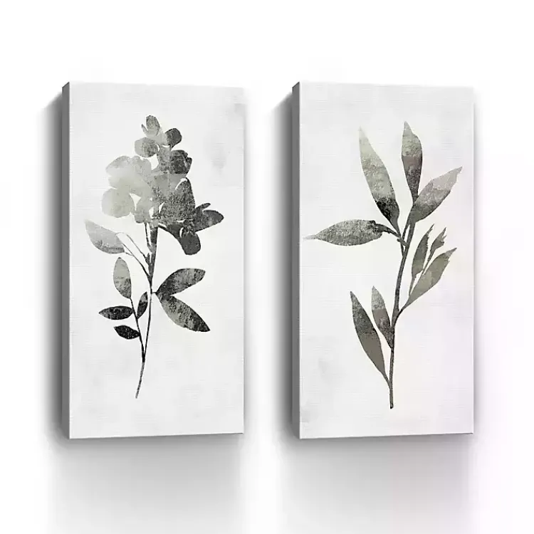 Kirklands Home A Shadow of a Flower 2-pc. Canvas Art Set Online