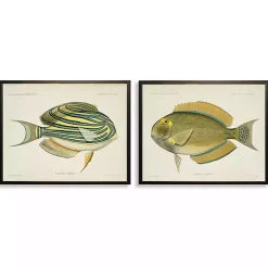 Kirklands Home Acanthurus Fish Framed Art Prints, Set of 2 Sale