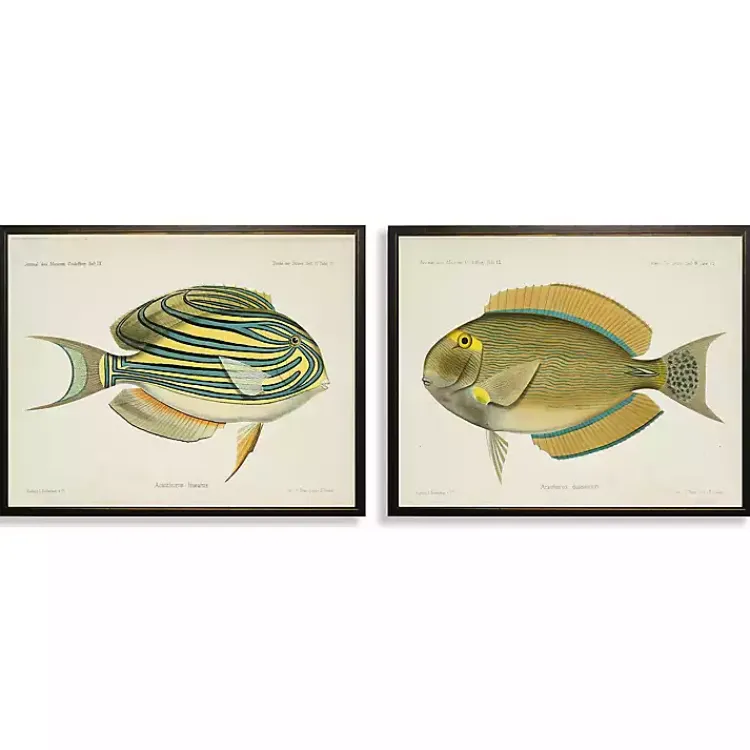 Kirklands Home Acanthurus Fish Framed Art Prints, Set of 2 Sale
