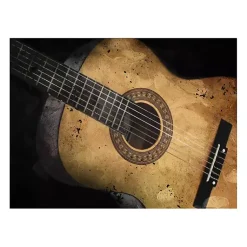 Kirklands Home Acoustic Guitar Canvas Art Print Clearance