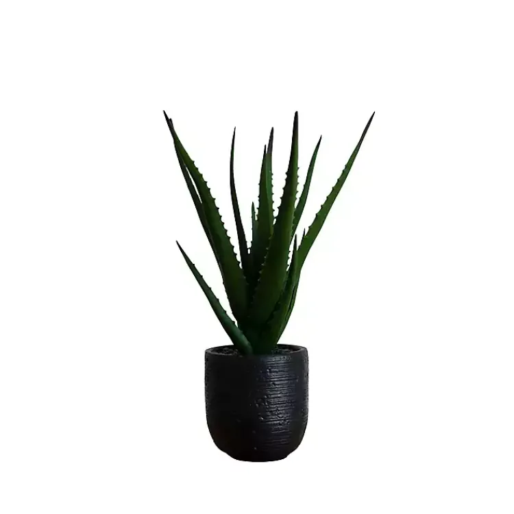 Arrangements & Greenery>Kirklands Home Agave Arrangement in Black Decorative Pot