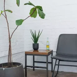 Arrangements & Greenery>Kirklands Home Agave Arrangement in Black Decorative Pot