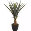 Trees & Topiaries>Kirklands Home Agave in Planter, 30 in.