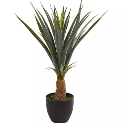 Trees & Topiaries>Kirklands Home Agave in Planter, 30 in.
