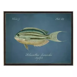 Kirklands Home Angelfish Framed Wall Art Blue Best