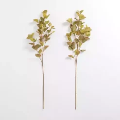 Stems & Bouquets>Kirklands Home Antique Eucalyptus Stems, Set of 2 Green