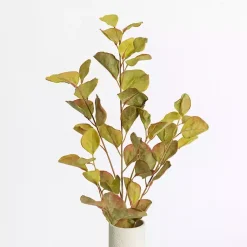 Stems & Bouquets>Kirklands Home Antique Eucalyptus Stems, Set of 2 Green