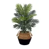 Trees & Topiaries>Kirklands Home Areca Palm Tree in Woven Basket DIY Kit, 3 ft.
