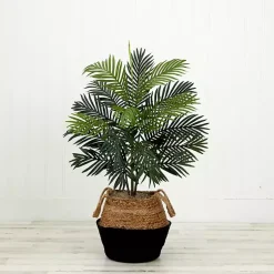 Trees & Topiaries><noscript><img width=