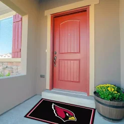 Kirklands Home Arizona Cardinals Area Rug, 3x4 New