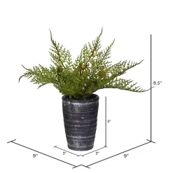 Arrangements & Greenery>Kirklands Home Asparagus Fern in Tall Black Planter