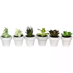 Arrangements & Greenery>Kirklands Home Assorted Potted Succulent Arrangements, Set of 6