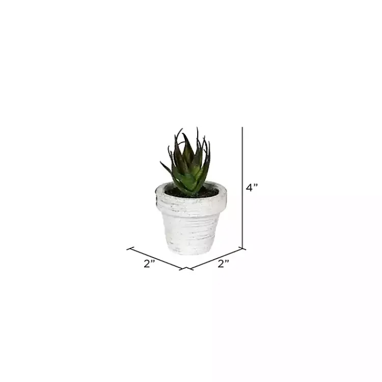 Arrangements & Greenery>Kirklands Home Assorted Potted Succulent Arrangements, Set of 6