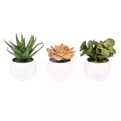 Arrangements & Greenery>Kirklands Home Assorted Succulents in White Planters, Set of 3