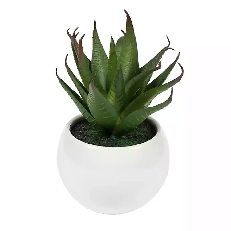 Arrangements & Greenery>Kirklands Home Assorted Succulents in White Planters, Set of 3