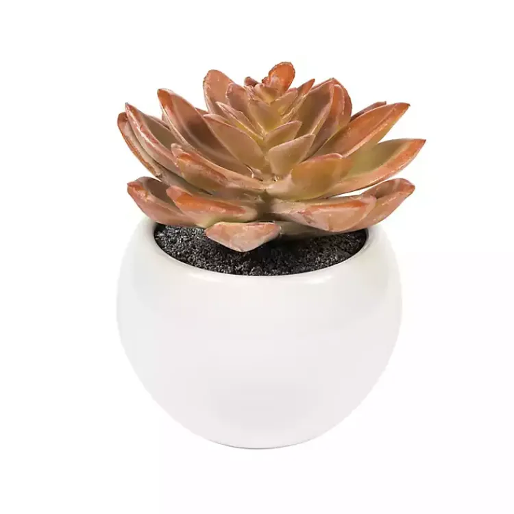 Arrangements & Greenery>Kirklands Home Assorted Succulents in White Planters, Set of 3