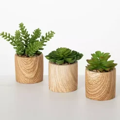 Arrangements & Greenery>Kirklands Home Assorted Succulents in Wooden Pots, Set of 3