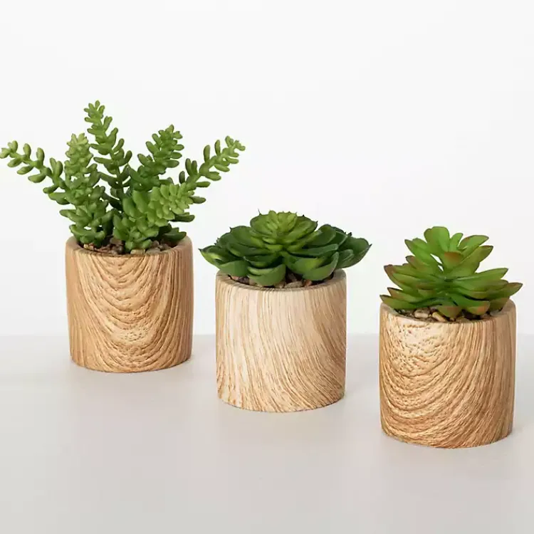 Arrangements & Greenery>Kirklands Home Assorted Succulents in Wooden Pots, Set of 3