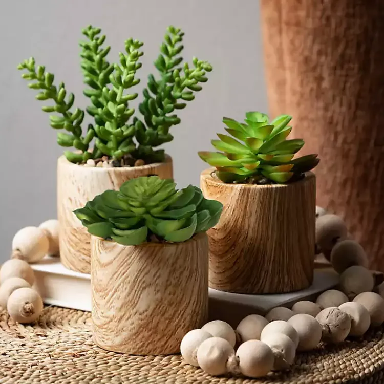 Arrangements & Greenery>Kirklands Home Assorted Succulents in Wooden Pots, Set of 3