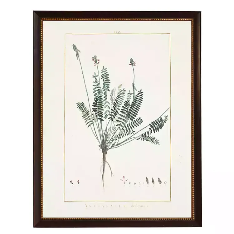 Kirklands Home Astragalus Greenery Black Beaded Framed Art Print Discount