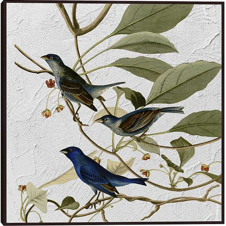 Kirklands Home Audubon Indigo Bird Framed Canvas Art Print