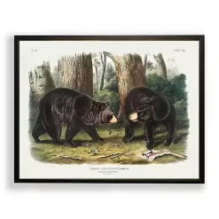 Kirklands Home Audubon Woodland Bears Framed Art Print