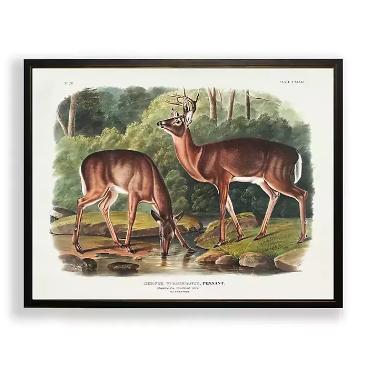 Kirklands Home Audubon Woodland Deer Framed Art Print Discount