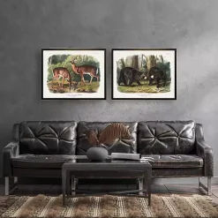 Kirklands Home Audubon Woodland Deer Framed Art Print Discount