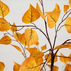Trees & Topiaries><noscript><img width=