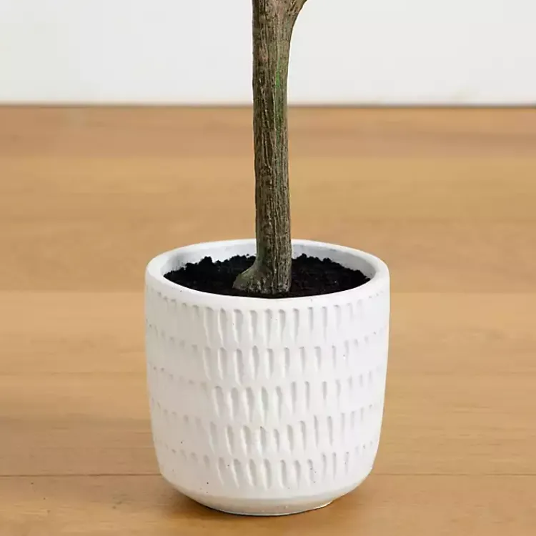 Trees & Topiaries>Kirklands Home Autumn Birch Tree in Decorative Planter, 4 ft.