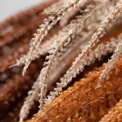 Fall>Kirklands Home Autumn Feather Grass Stems, Set of 3