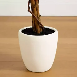 Trees & Topiaries><noscript><img width=